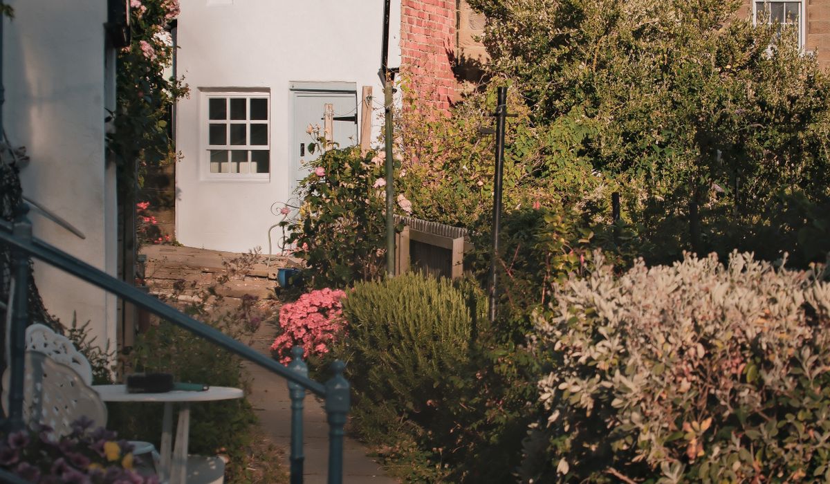 Creating a low-maintenance border with hardy perennials